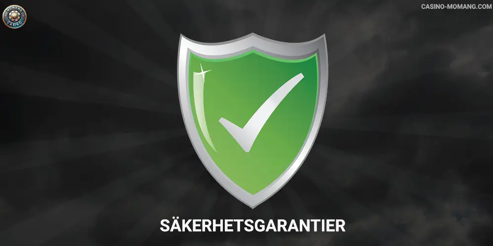 Säkerhetsgarantier momang