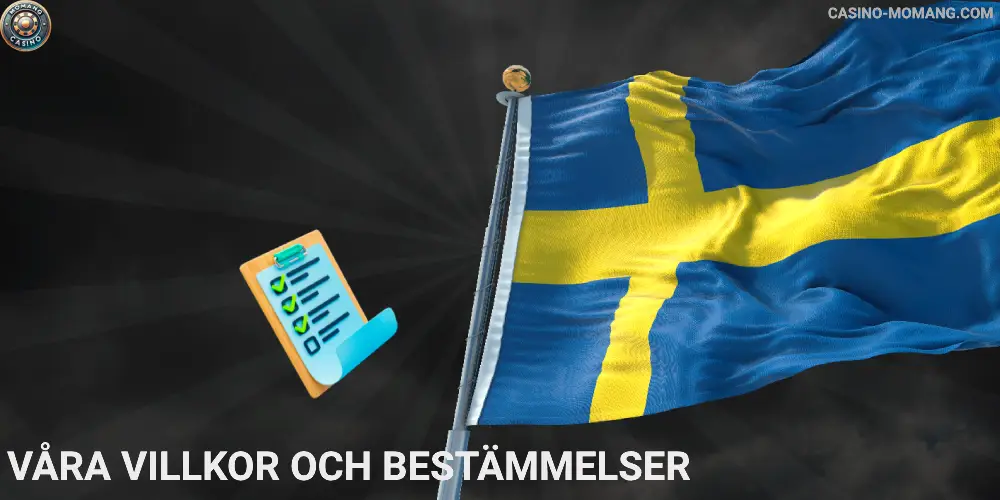 Våra villkor och bestämmelser Momang